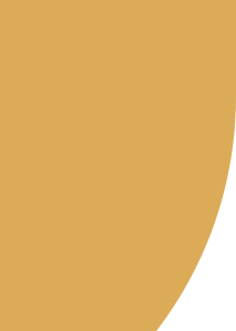 advisom home 7th sec bg overlay